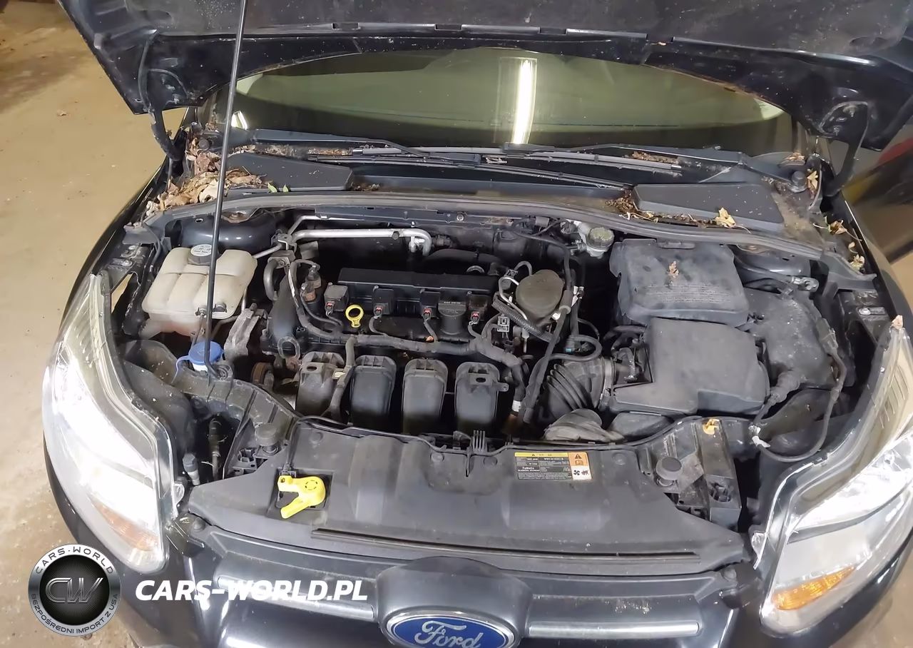 2013 Ford Focus S VIN:1FADP3E21DL334816 - 10