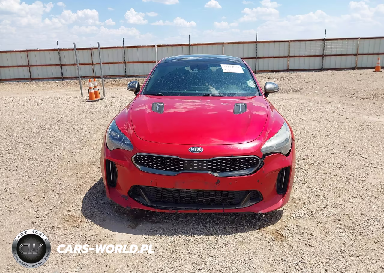 2019 Kia Stinger Gt1 VIN:KNAE45LC7K6064076 - 12