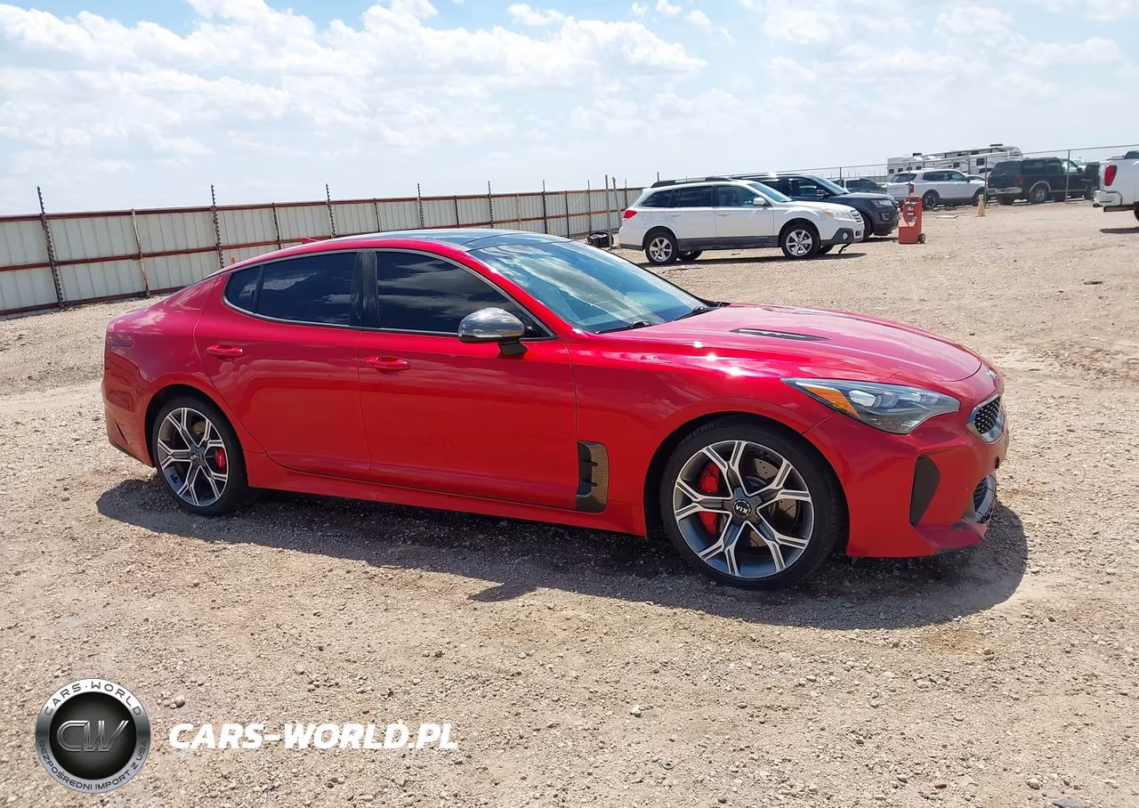 2019 Kia Stinger Gt1 VIN:KNAE45LC7K6064076 - 13