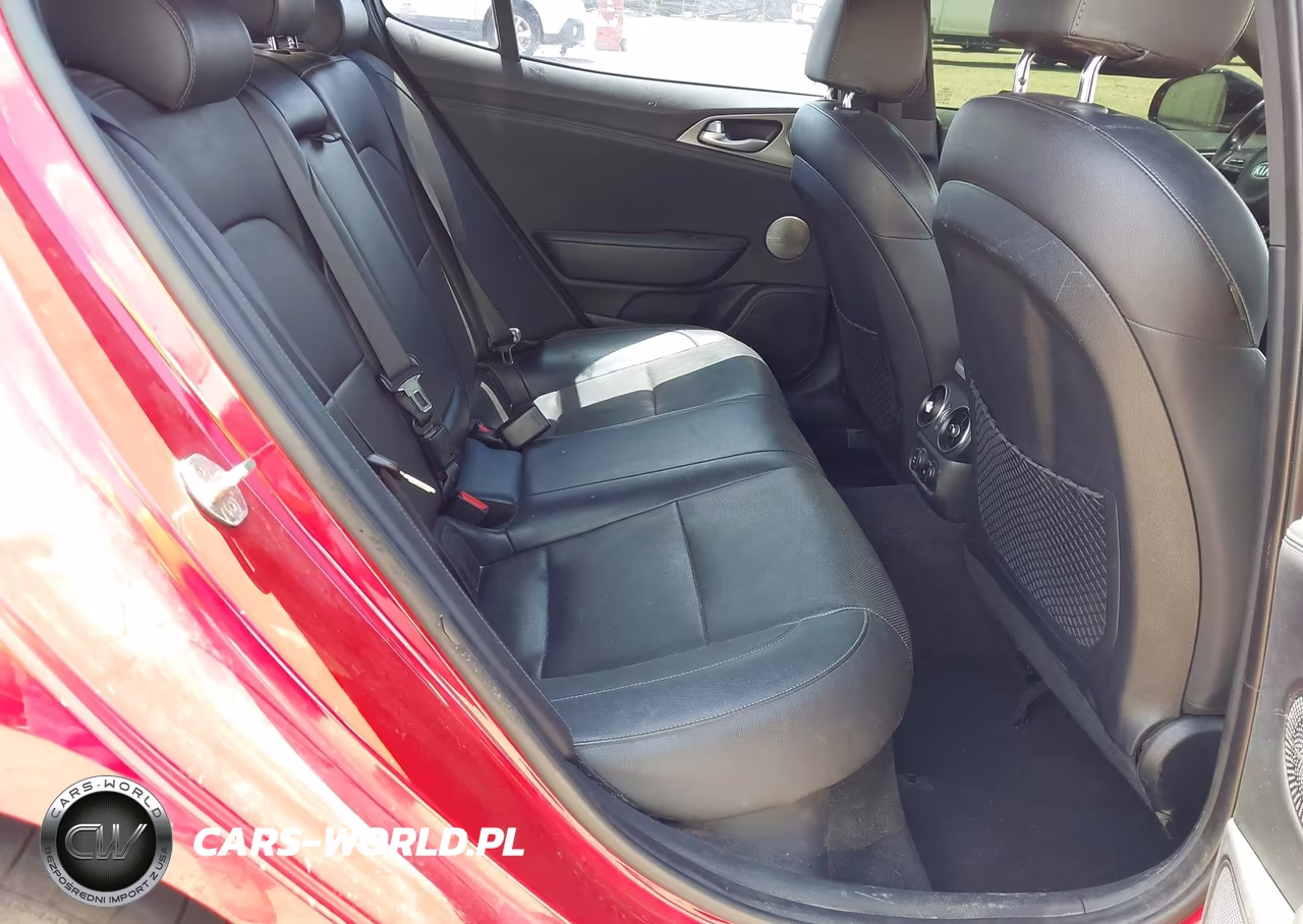 2019 Kia Stinger Gt1 VIN:KNAE45LC7K6064076 - 8