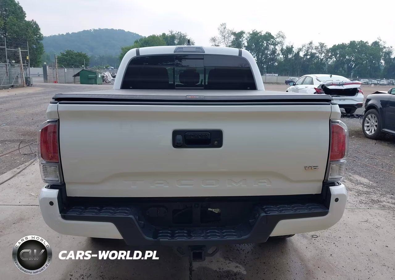 2023 Toyota Tacoma Trd Off Road VIN:3TYCZ5AN1PT148826 - 17