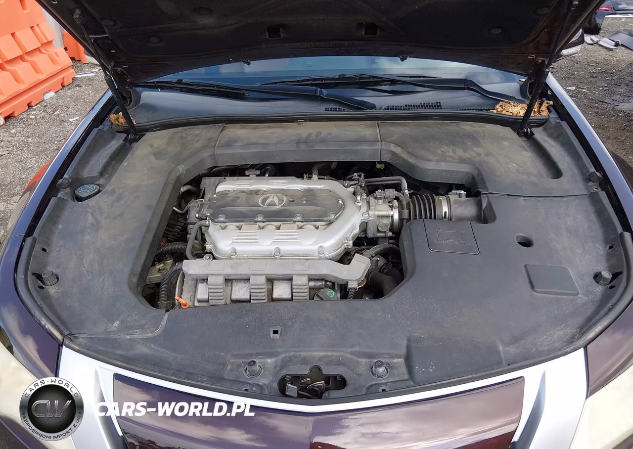 2009 Acura Tl 3.5 VIN:19UUA86599A023091 - 10