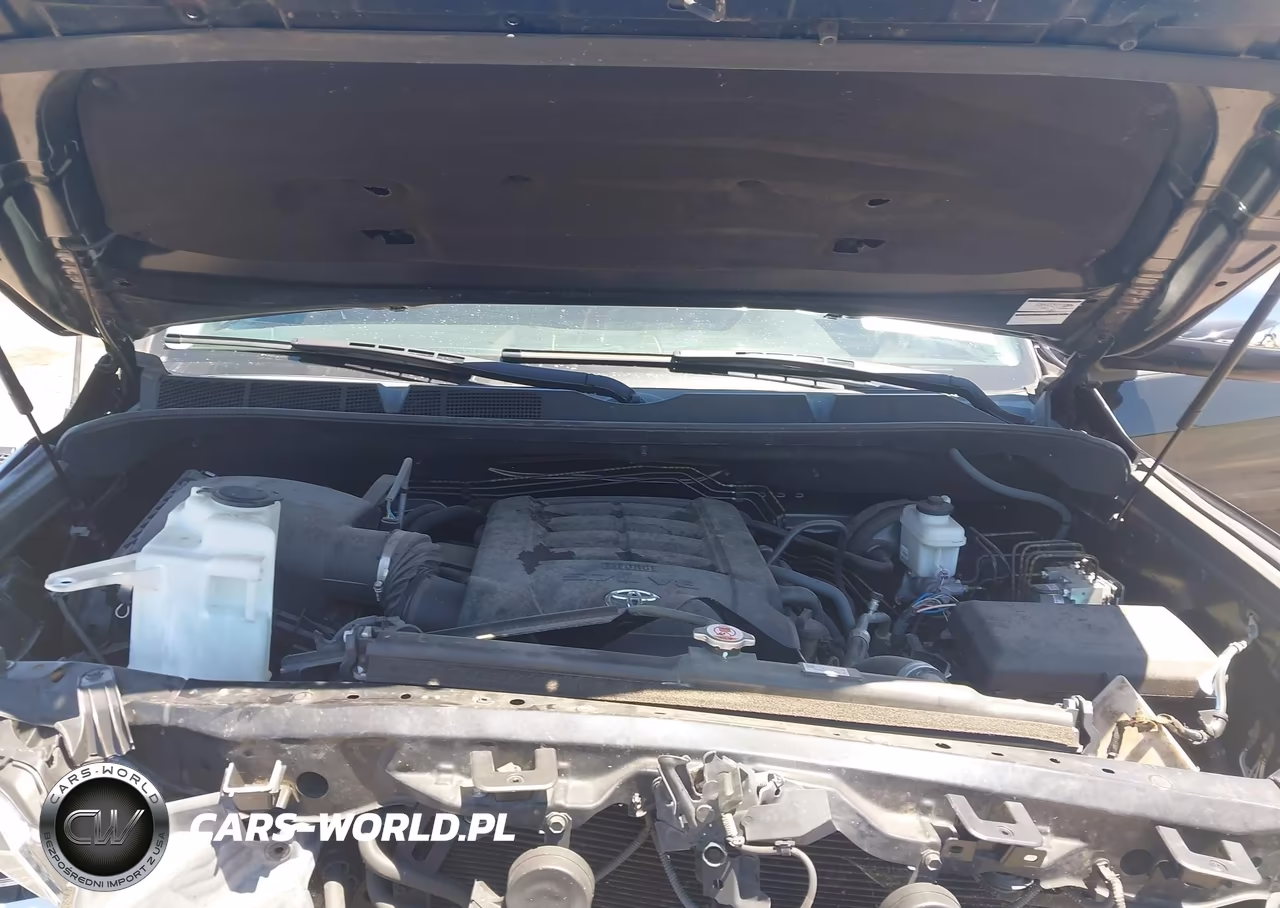 2018 Toyota Tundra Platinum 5.7L V8 VIN:5TFAY5F16JX764678 - 10