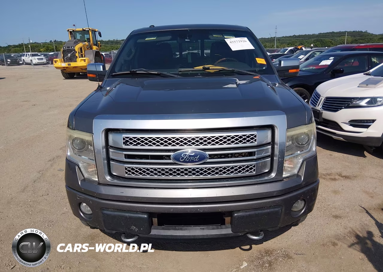 2013 Ford F-150 Platinum VIN:1FTFW1ET7DFC87504 - 12