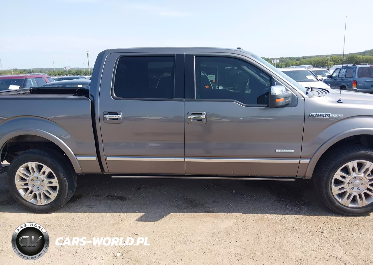 2013 Ford F-150 Platinum VIN:1FTFW1ET7DFC87504 - 13