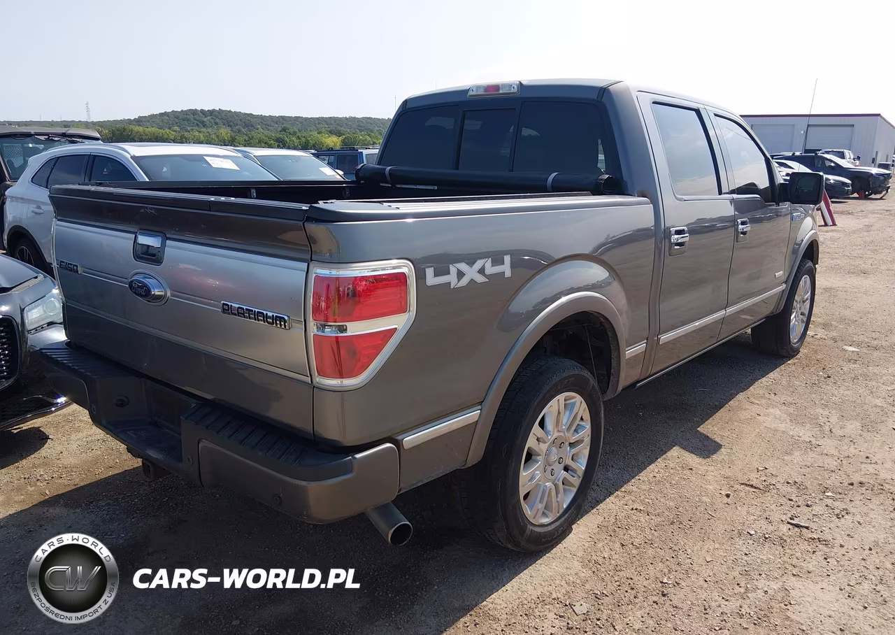 2013 Ford F-150 Platinum VIN:1FTFW1ET7DFC87504 - 4
