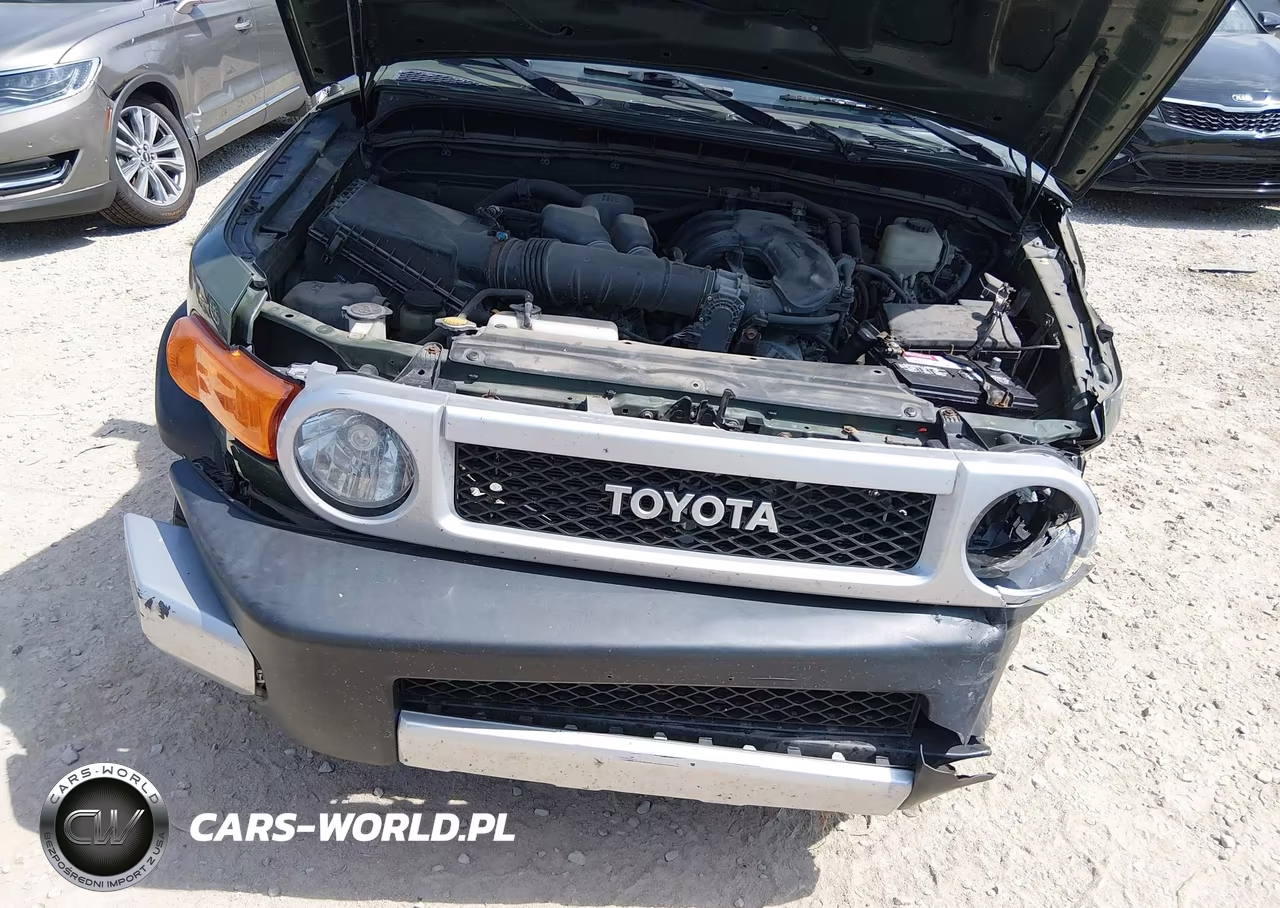 2014 Toyota Fj Cruiser VIN:JTEBU4BFXEK181752 - 10
