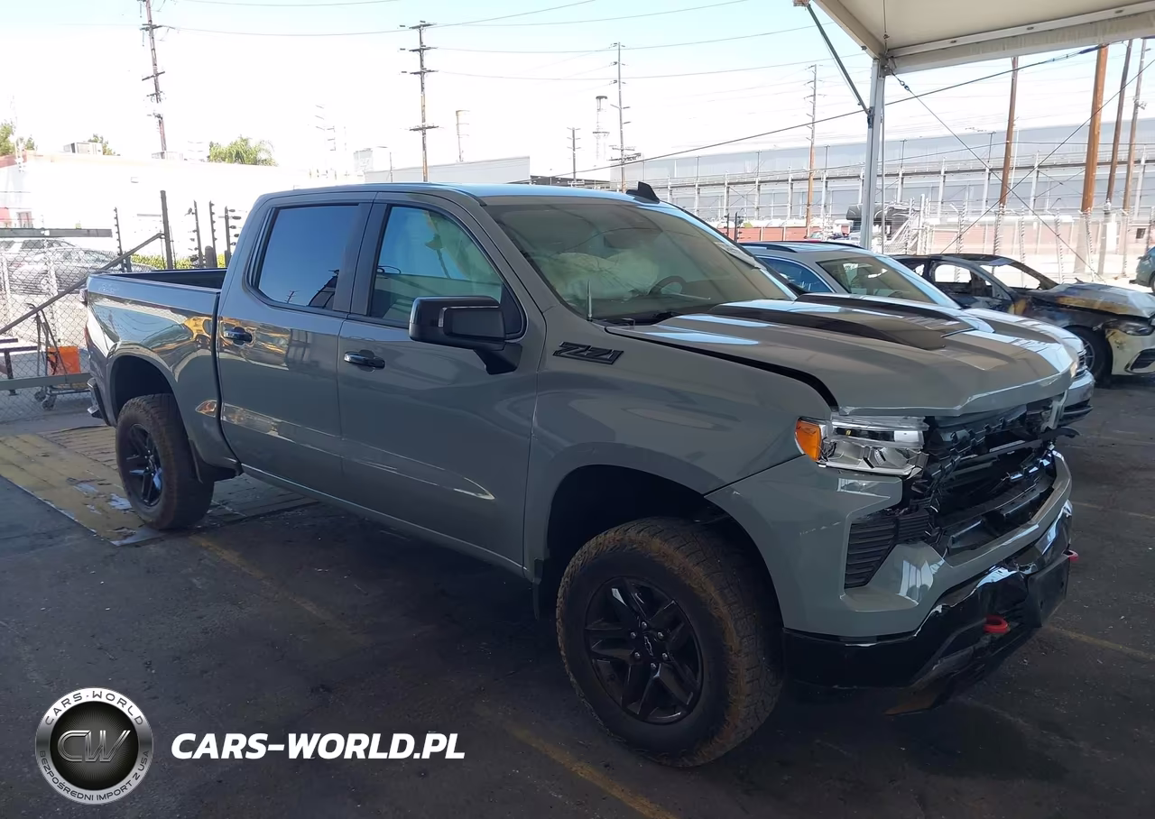 2024 Chevrolet Silverado 1500 4Wd Short Bed Lt Trail Boss VIN:3GCPDFEK9RG302136 - 13