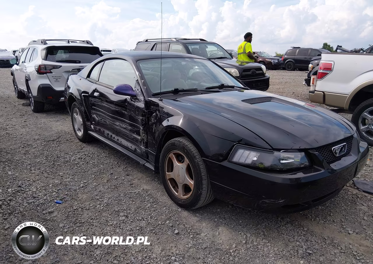 2002 Ford Mustang Deluxe-Premium-Standard