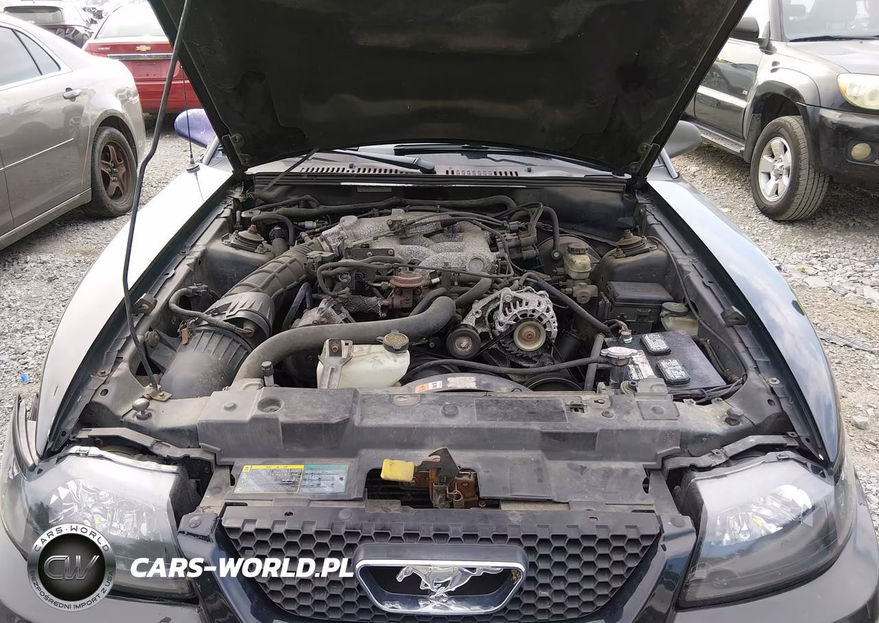 2002 Ford Mustang Deluxe-Premium-Standard VIN:1FAFP40412F205655 - 10