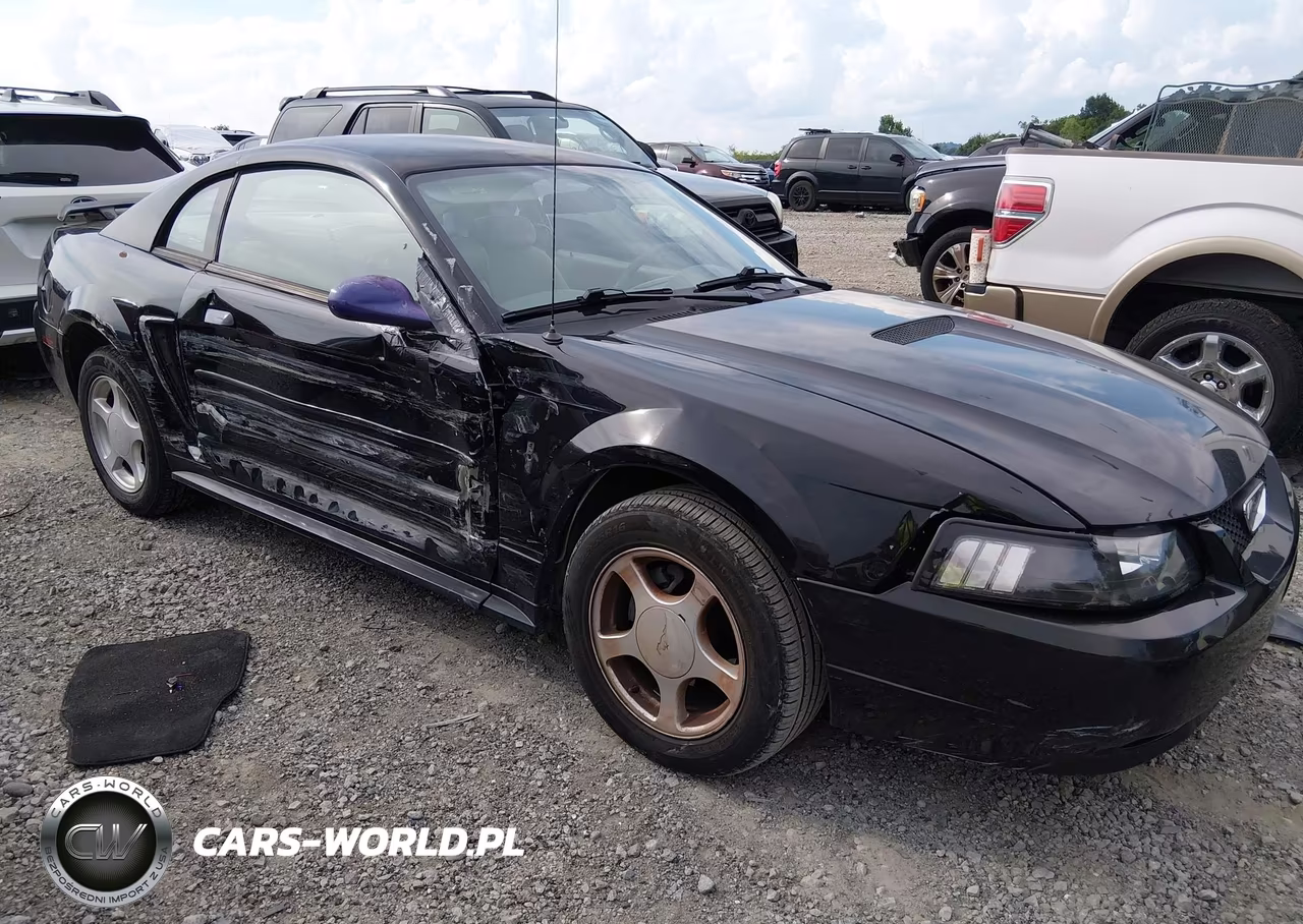 2002 Ford Mustang Deluxe-Premium-Standard VIN:1FAFP40412F205655 - 13