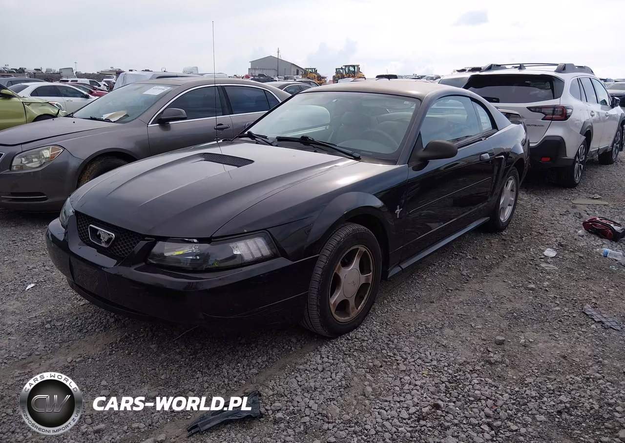 2002 Ford Mustang Deluxe-Premium-Standard VIN:1FAFP40412F205655 - 2