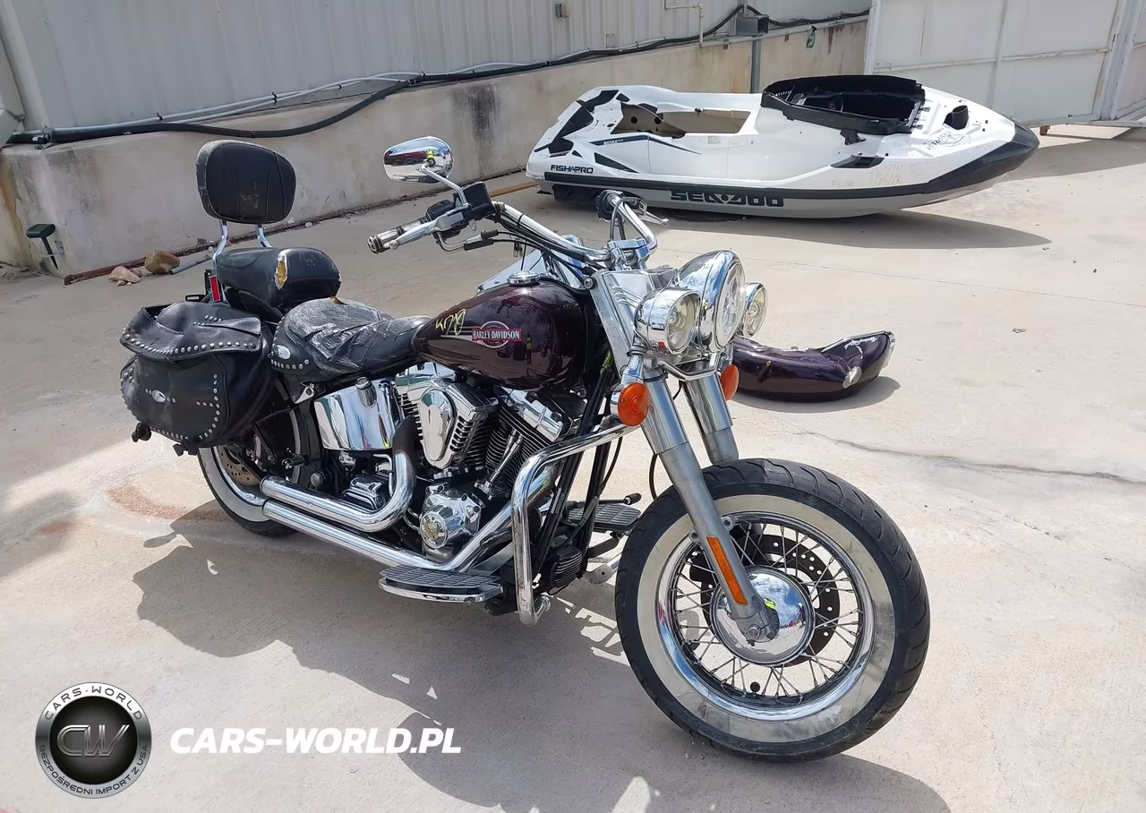 2005 Harley-Davidson Flstci