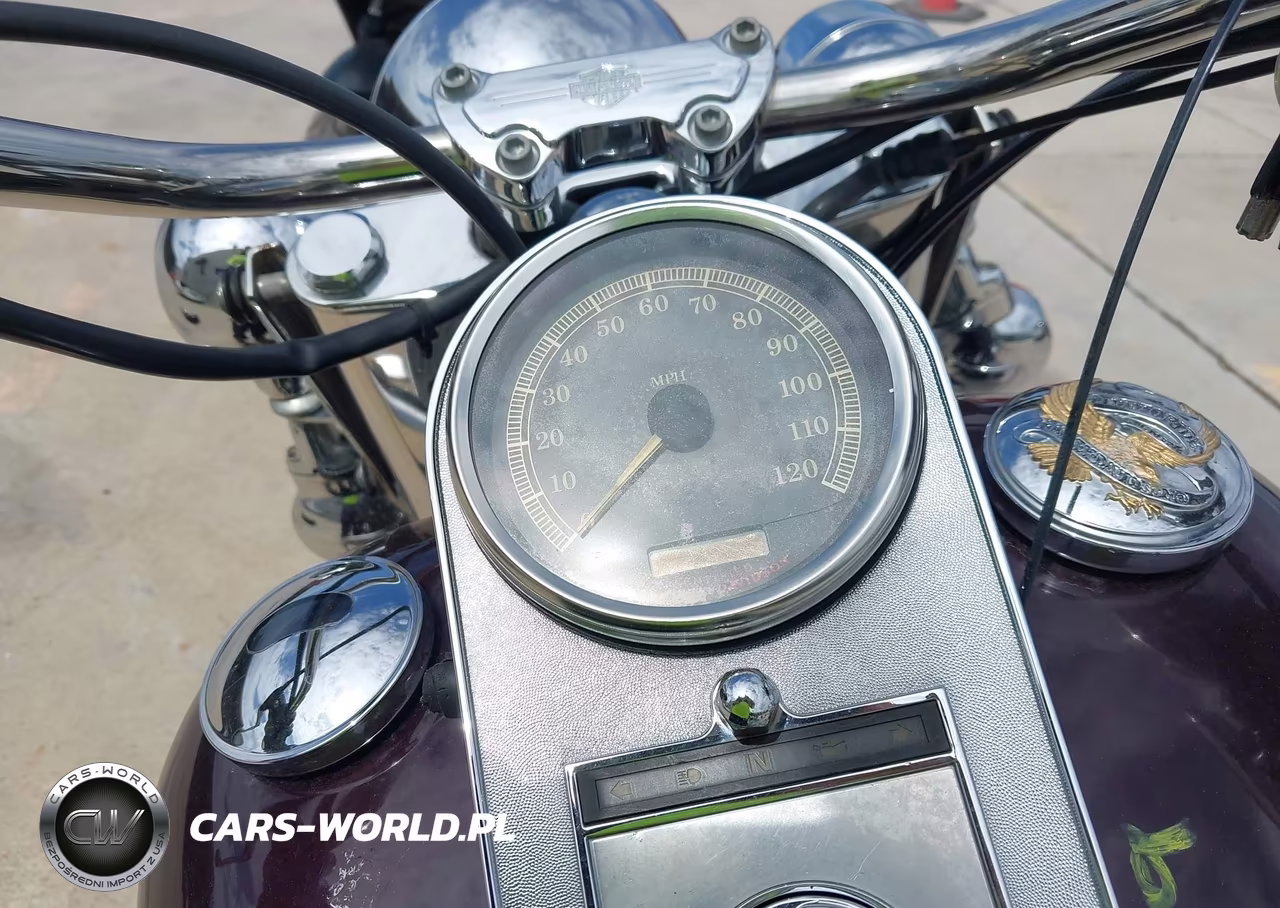 2005 Harley-Davidson Flstci VIN:1HD1BWB185Y100796 - 7