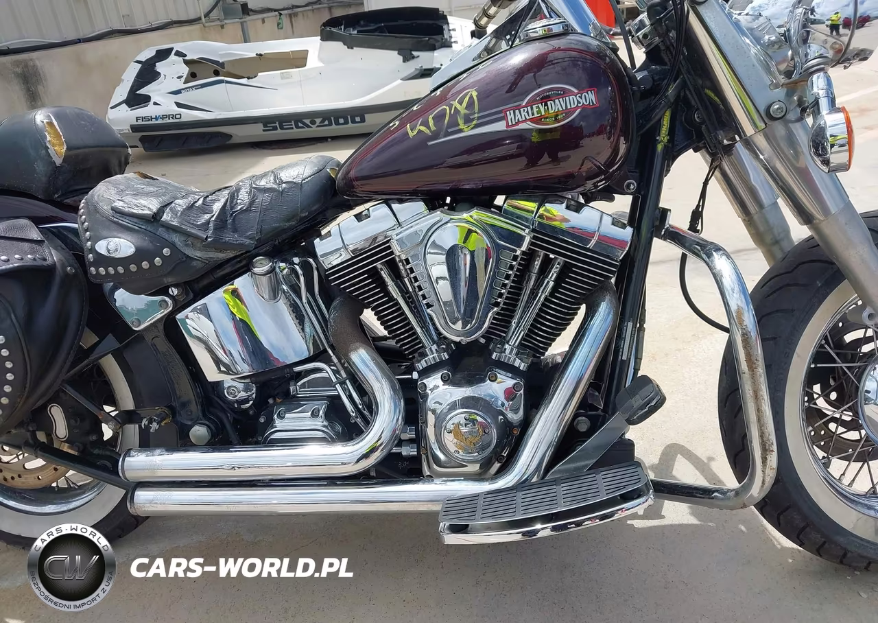 2005 Harley-Davidson Flstci VIN:1HD1BWB185Y100796 - 8