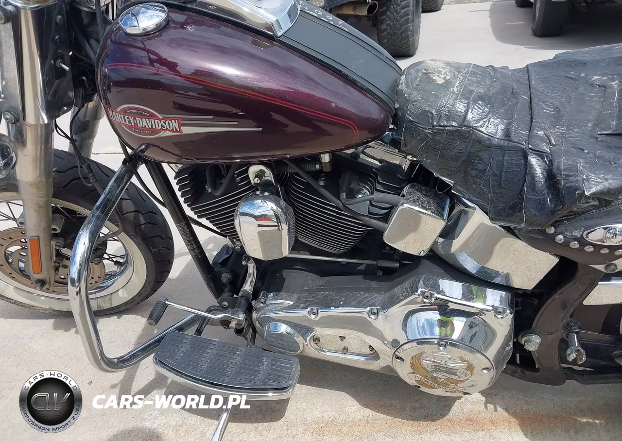 2005 Harley-Davidson Flstci VIN:1HD1BWB185Y100796 - 9