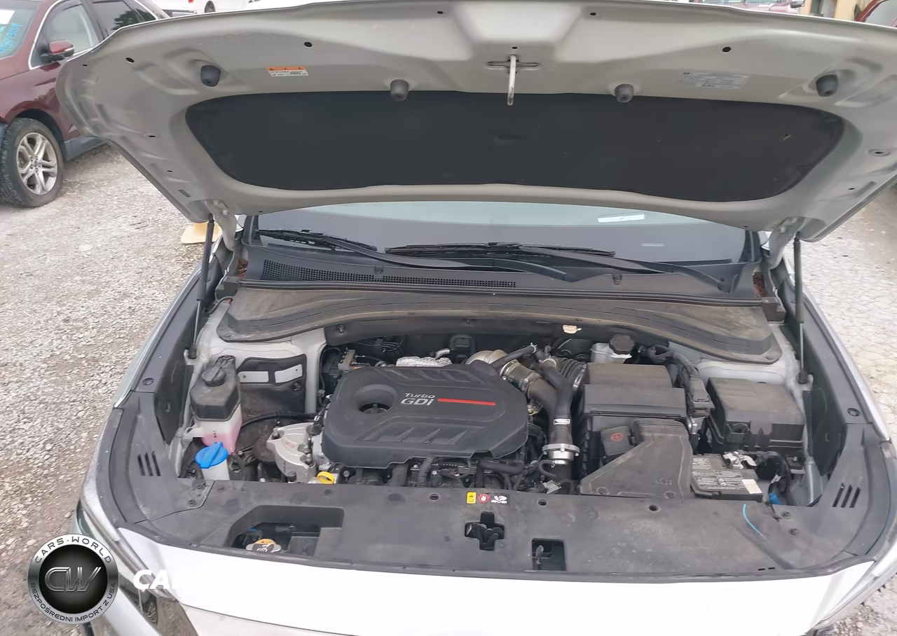 2020 Hyundai Santa Fe Limited 2.0T VIN:5NMS53AA3LH306701 - 10