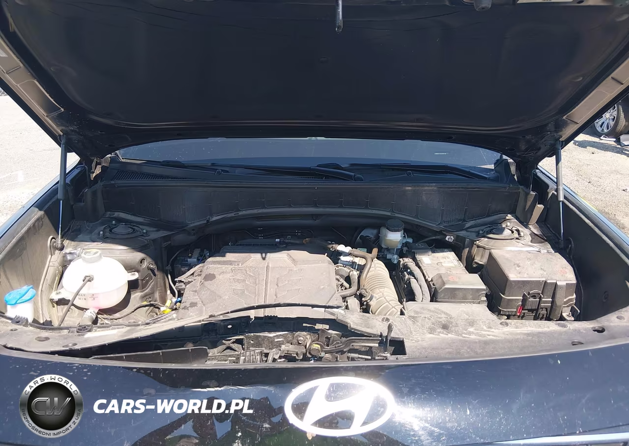 2026 Hyundai Palisade Calligraphy VIN:KM8RMES23TU021716 - 10