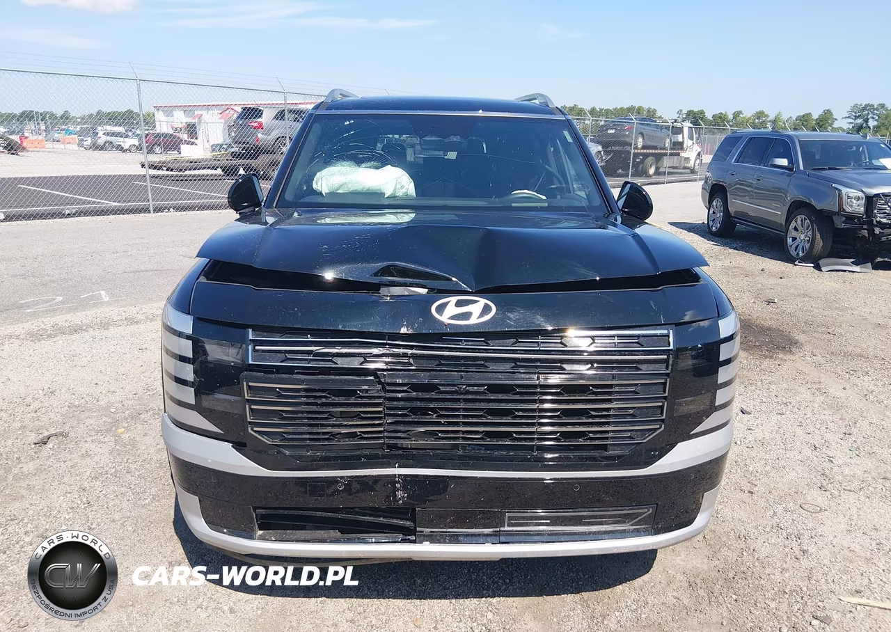 2026 Hyundai Palisade Calligraphy VIN:KM8RMES23TU021716 - 12