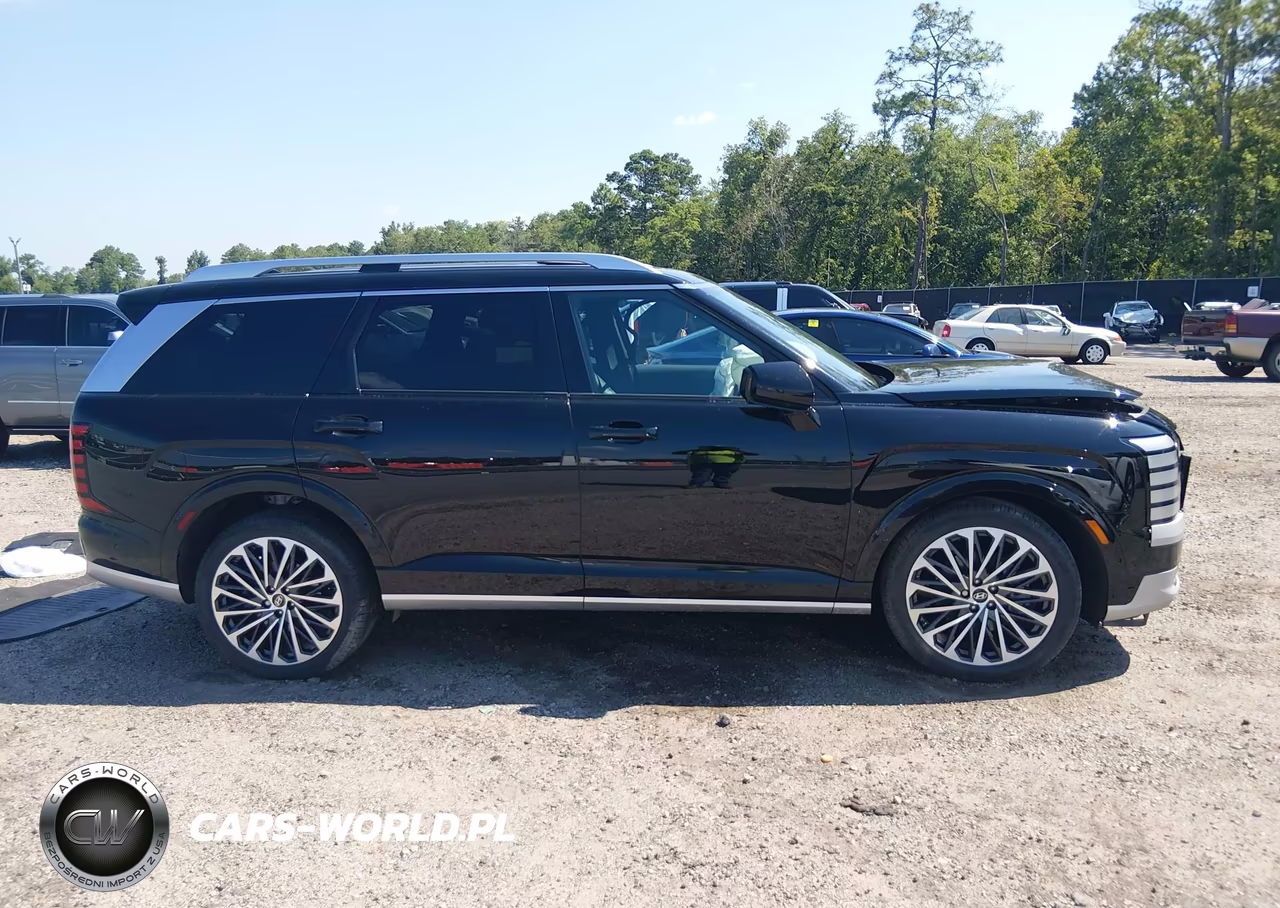 2026 Hyundai Palisade Calligraphy VIN:KM8RMES23TU021716 - 13