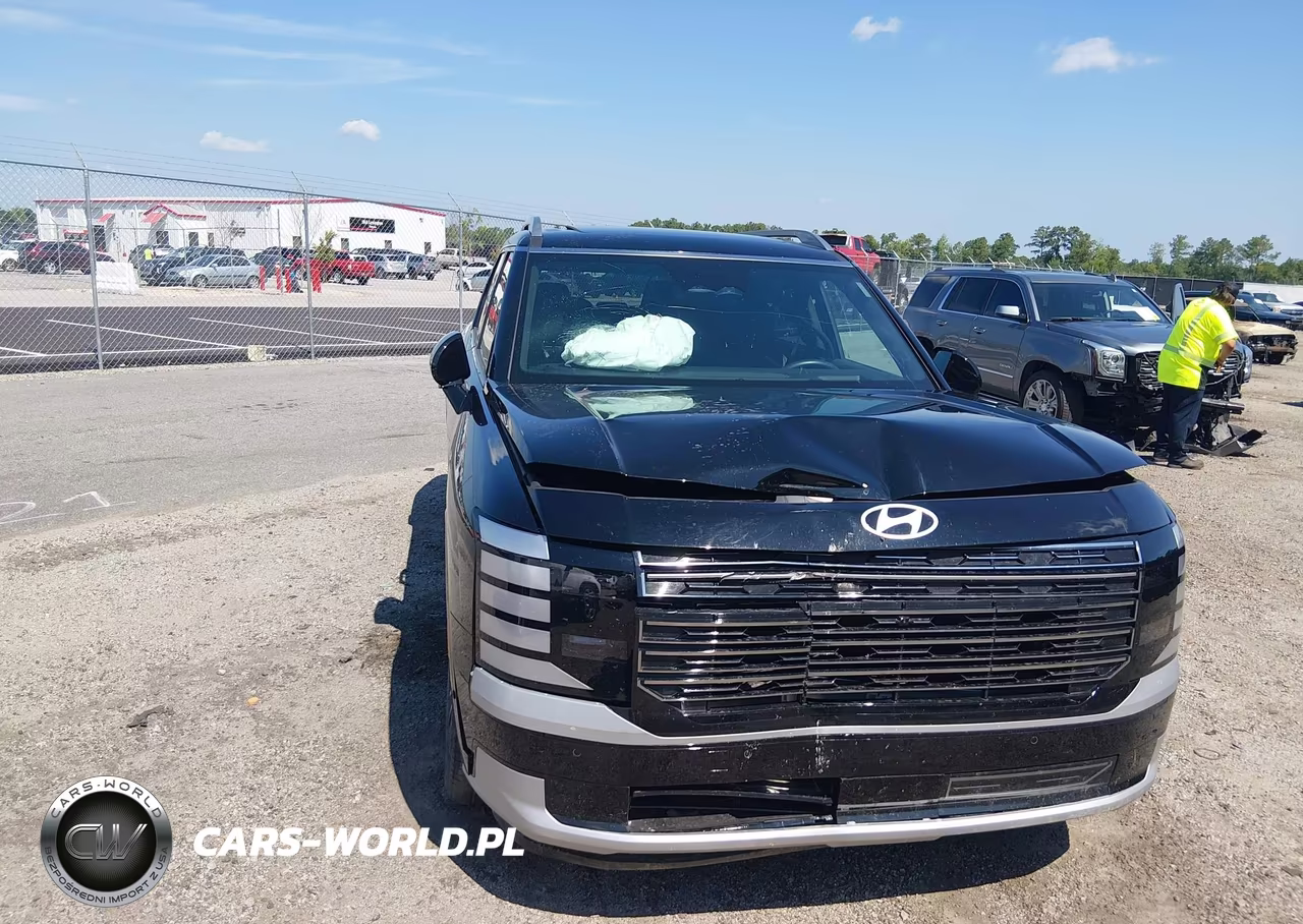 2026 Hyundai Palisade Calligraphy VIN:KM8RMES23TU021716 - 6