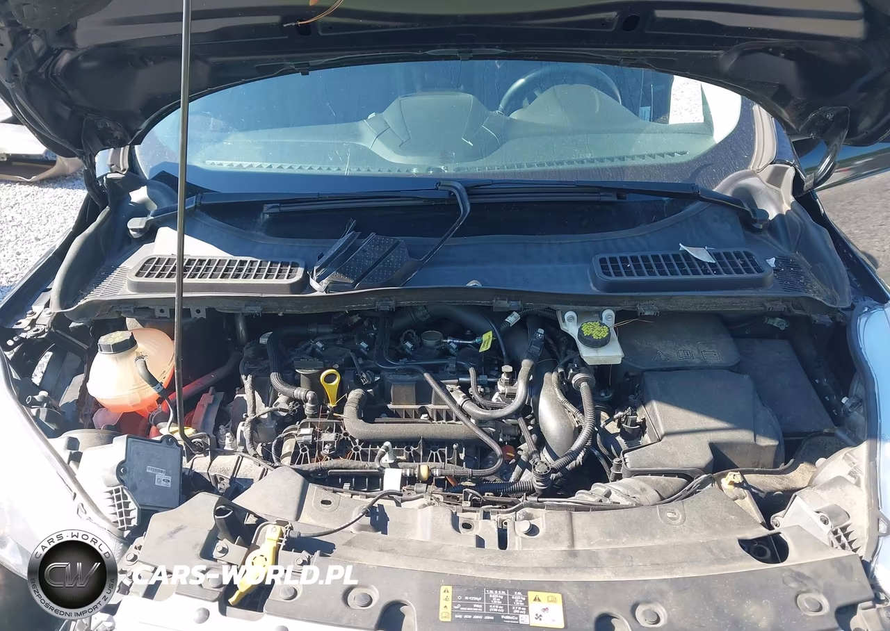 2019 Ford Escape Sel VIN:1FMCU9HD1KUC32322 - 10