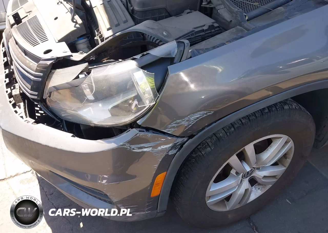 2016 Volkswagen Tiguan S VIN:WVGBV7AX5GW511320 - 12