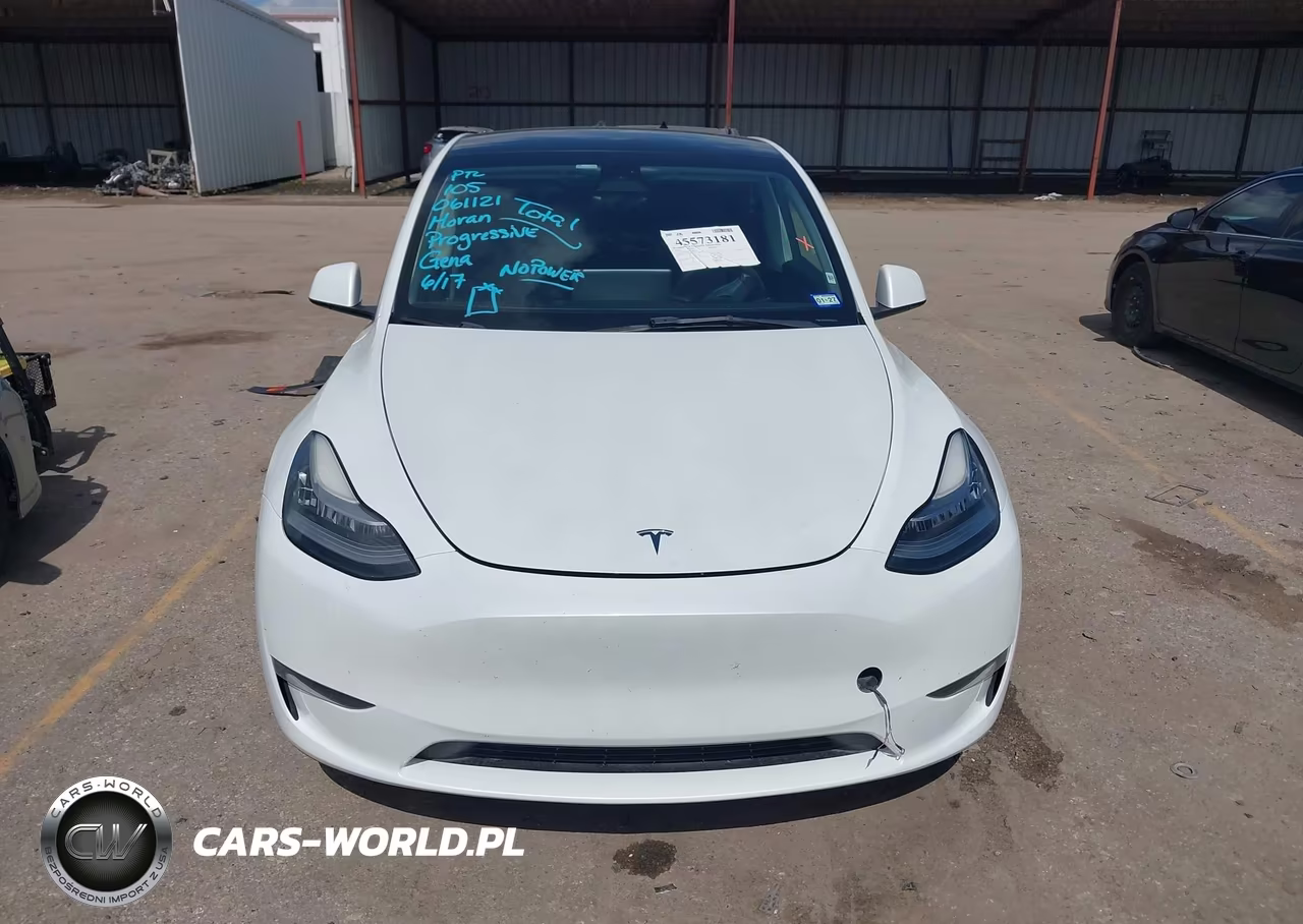 2023 Tesla Model Y Awd-Long Range Dual Motor All-Wheel Drive VIN:7SAYGDEEXPA061121 - 10