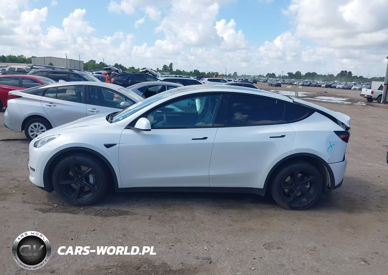 2023 Tesla Model Y Awd-Long Range Dual Motor All-Wheel Drive VIN:7SAYGDEEXPA061121 - 12