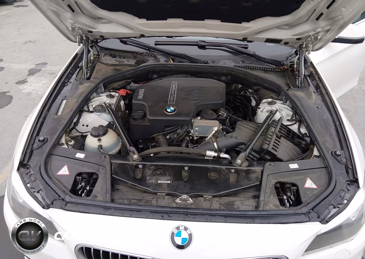 2014 BMW 528I VIN:WBA5A5C57ED503948 - 10