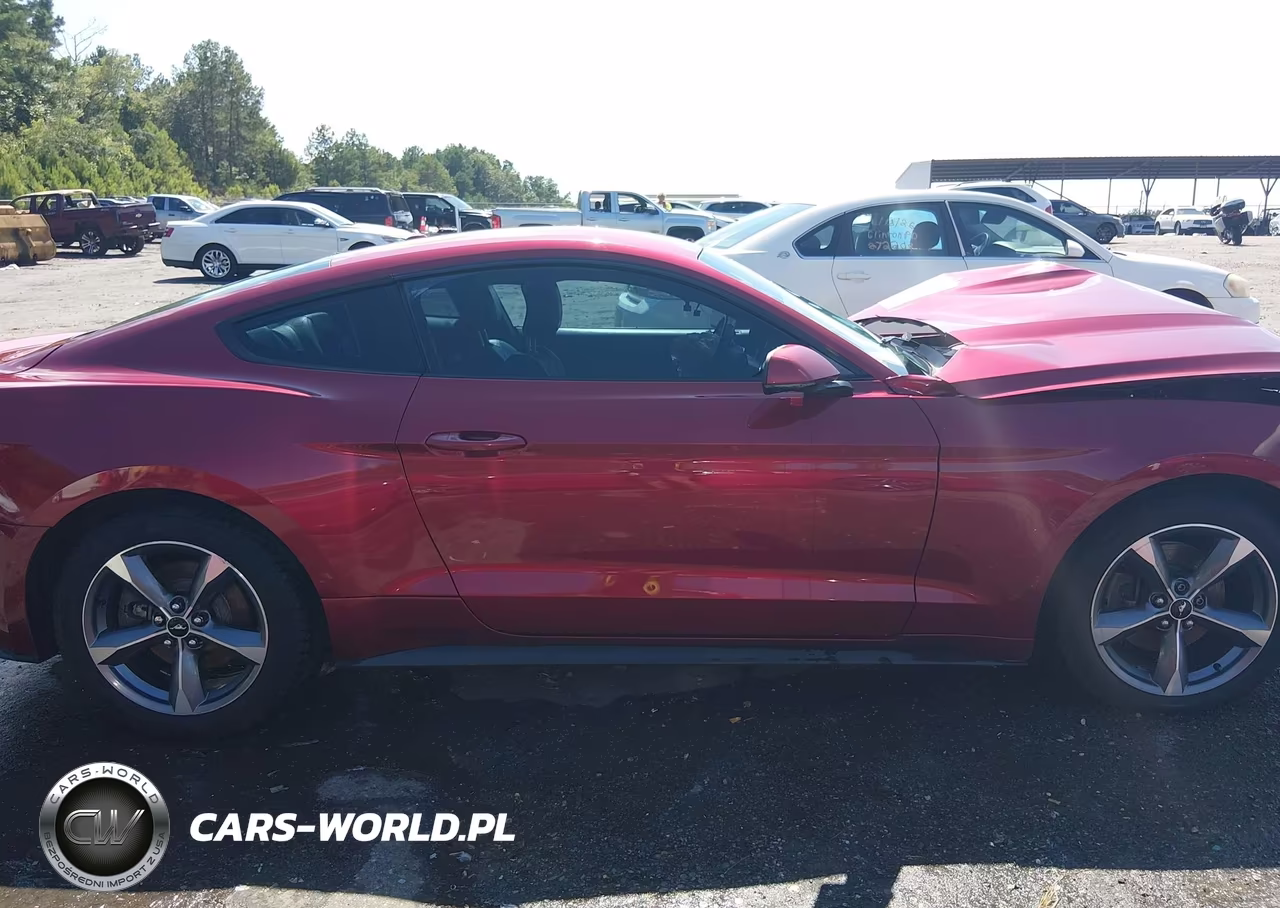 2016 Ford Mustang Ecoboost VIN:1FA6P8TH2G5218918 - 13