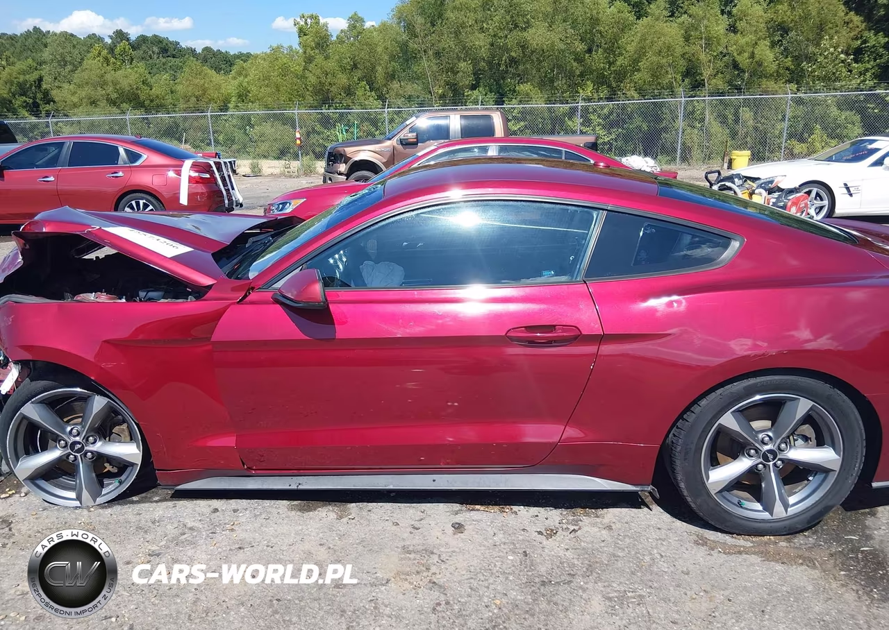 2016 Ford Mustang Ecoboost VIN:1FA6P8TH2G5218918 - 14