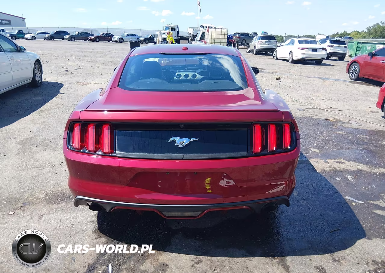 2016 Ford Mustang Ecoboost VIN:1FA6P8TH2G5218918 - 16