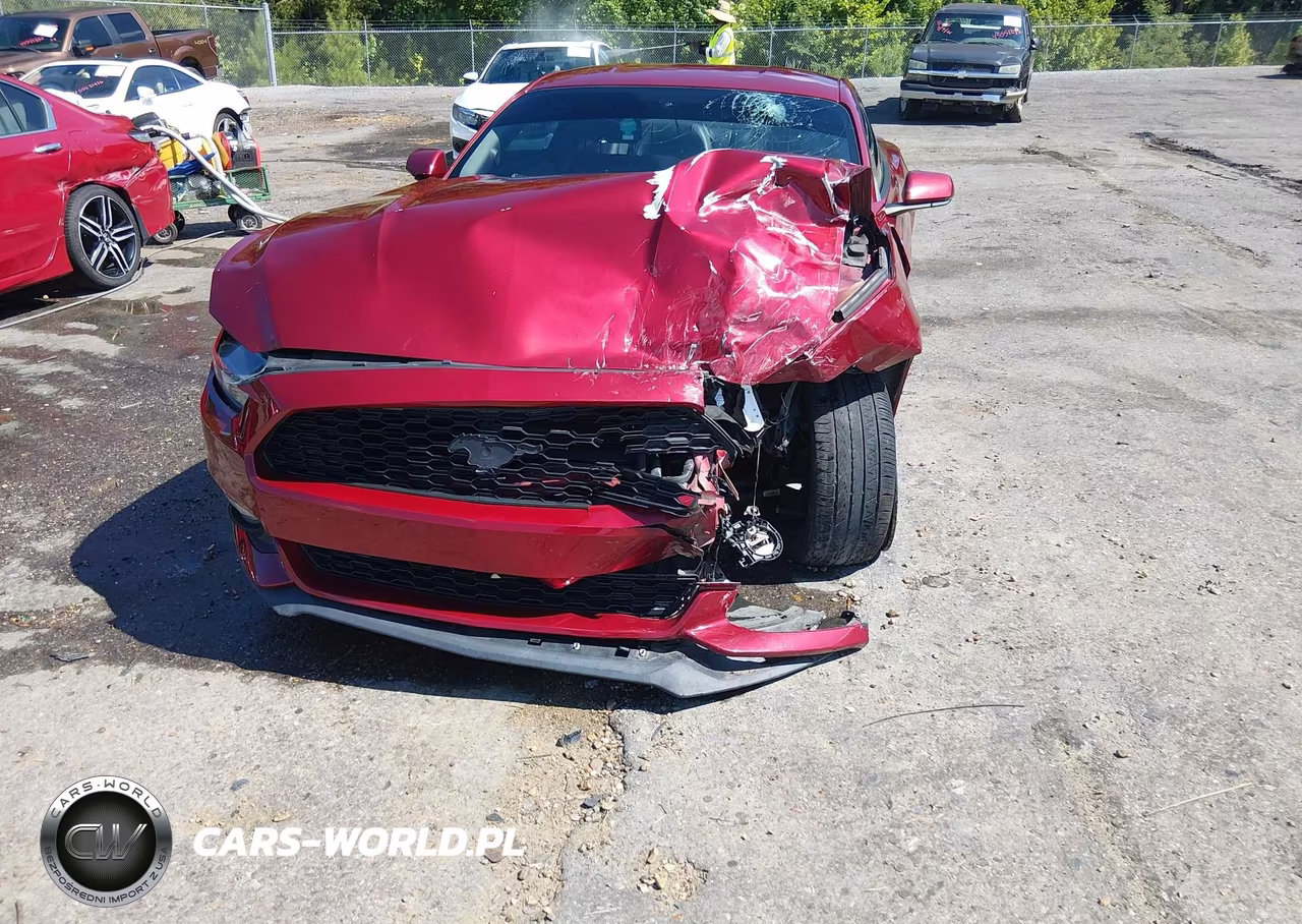 2016 Ford Mustang Ecoboost VIN:1FA6P8TH2G5218918 - 18