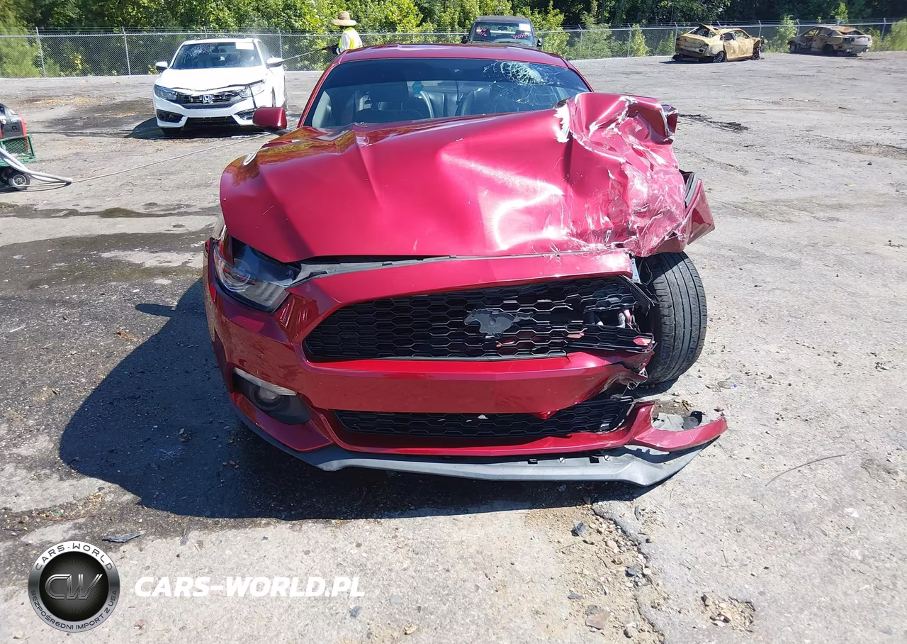 2016 Ford Mustang Ecoboost VIN:1FA6P8TH2G5218918 - 19