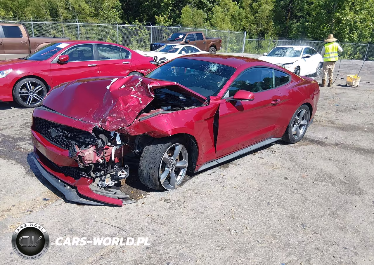 2016 Ford Mustang Ecoboost VIN:1FA6P8TH2G5218918 - 2