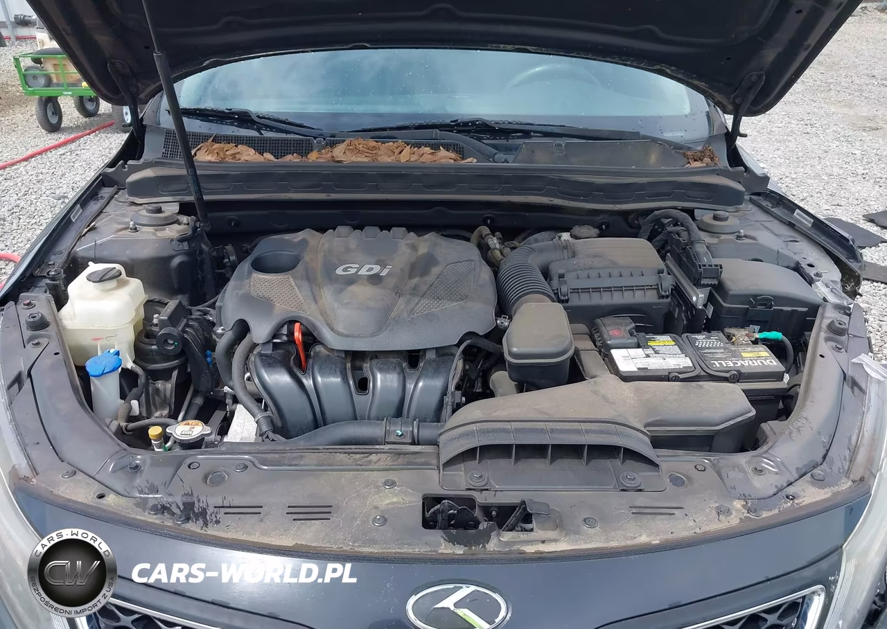 2015 Kia Optima Lx VIN:5XXGM4A70FG391552 - 10