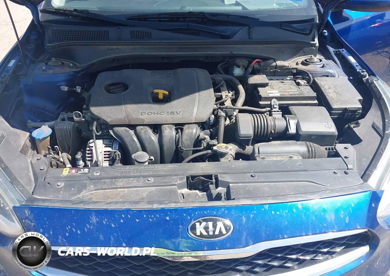2019 Kia Forte S VIN:3KPF34AD1KE023212 - 10