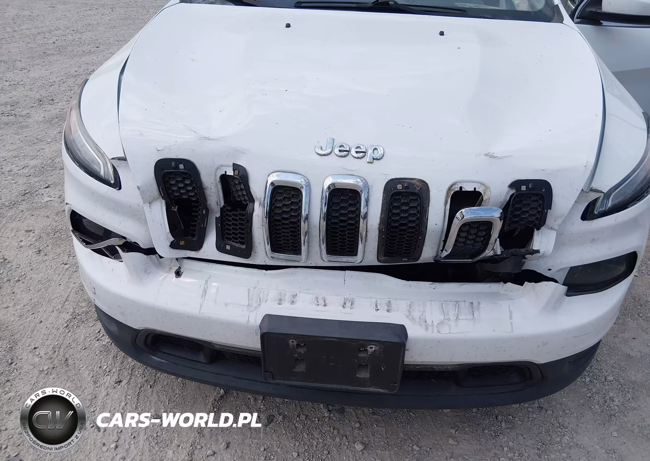 2016 Jeep Cherokee Latitude VIN:1C4PJLCBXGW201065 - 10