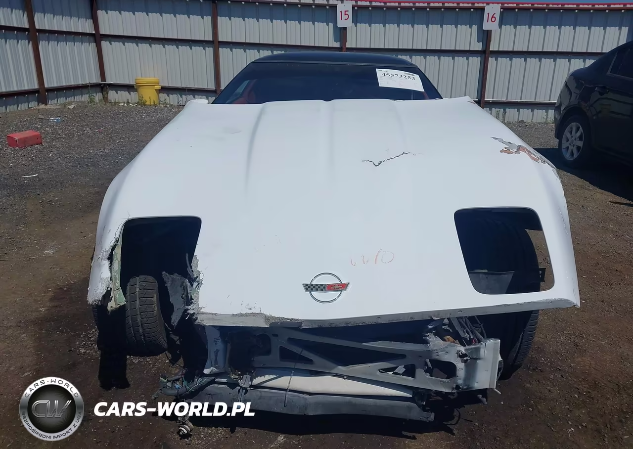1990 Chevrolet Corvette VIN:1G1YY238XL5109784 - 10