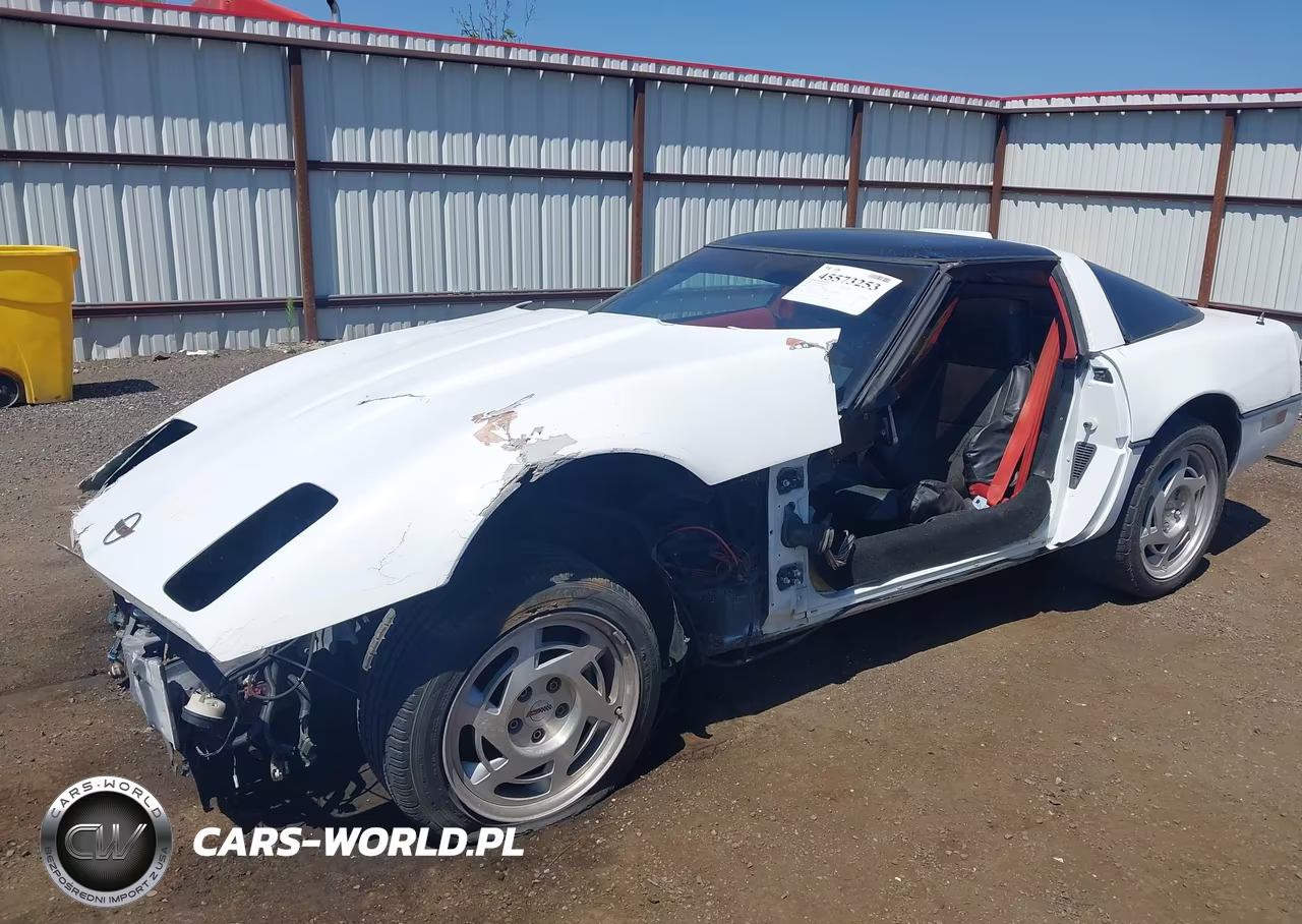 1990 Chevrolet Corvette VIN:1G1YY238XL5109784 - 11