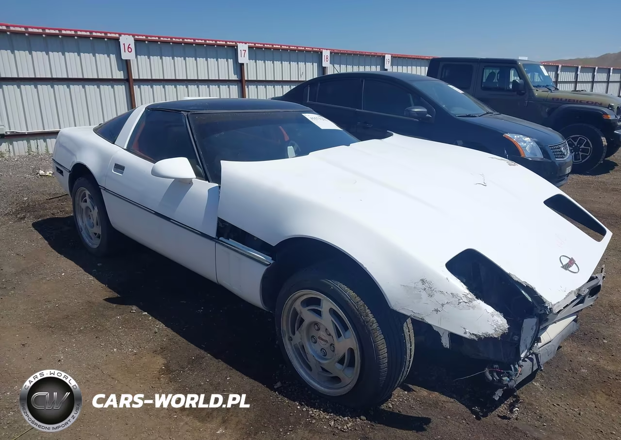 1990 Chevrolet Corvette VIN:1G1YY238XL5109784 - 12