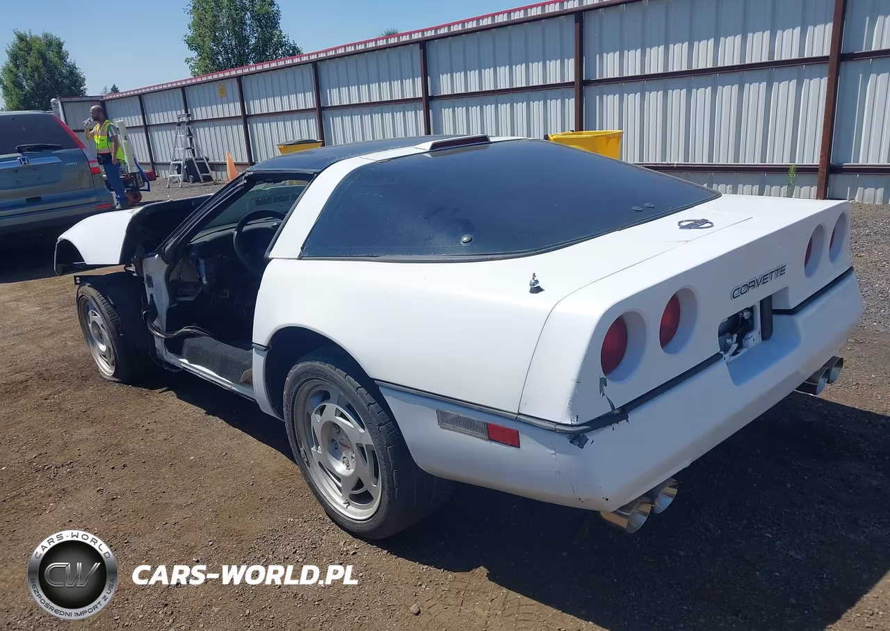 1990 Chevrolet Corvette VIN:1G1YY238XL5109784 - 3