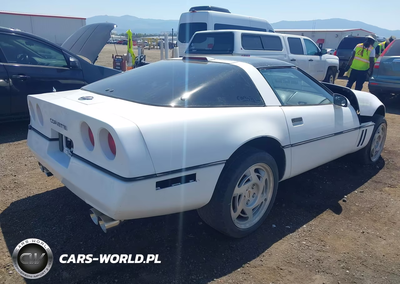 1990 Chevrolet Corvette VIN:1G1YY238XL5109784 - 4