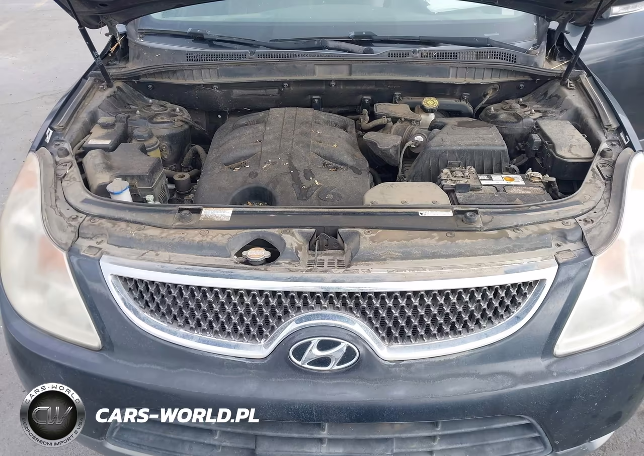 2008 Hyundai Veracruz Gls-Limited-Se VIN:KM8NU13C68U038905 - 10