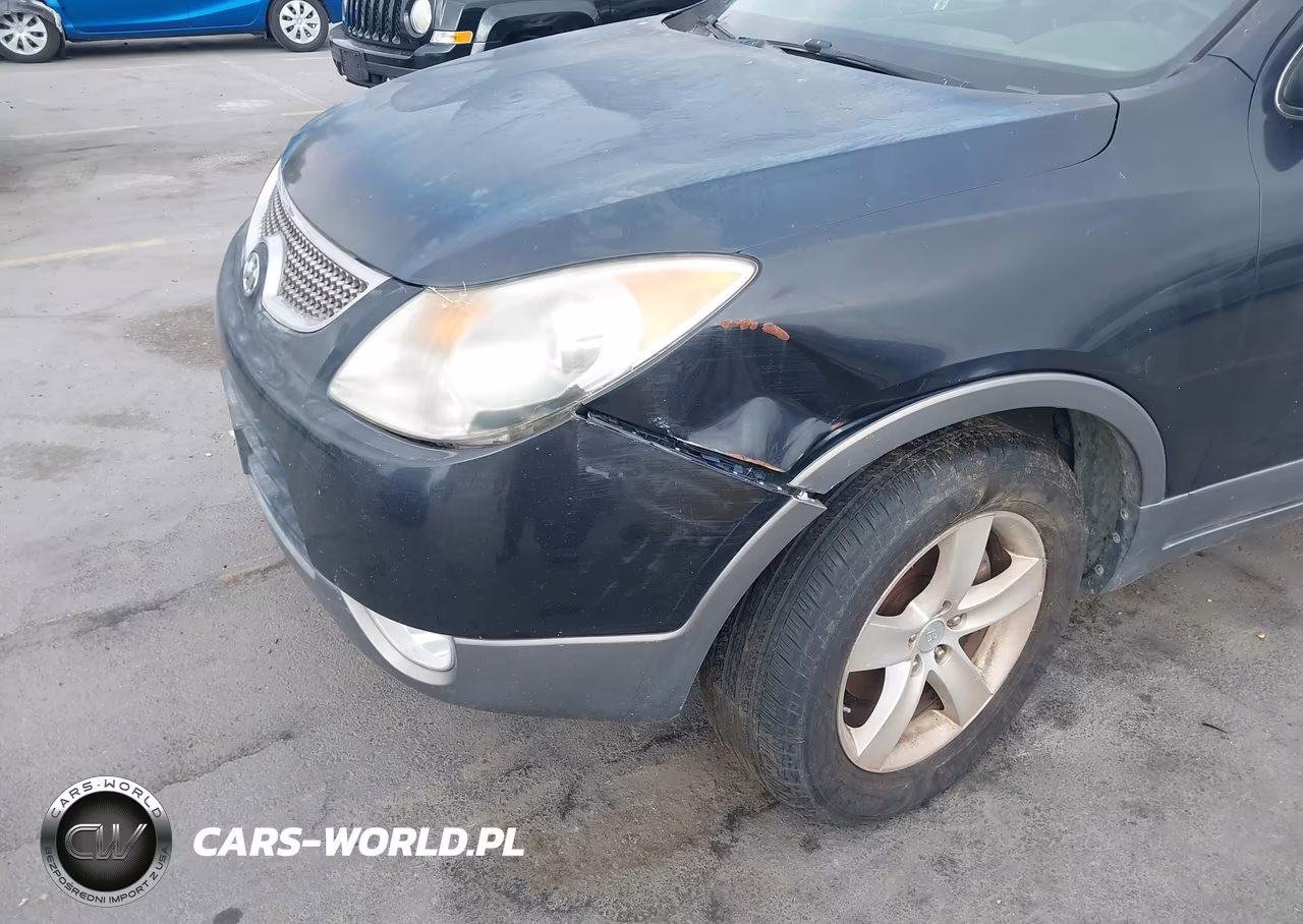 2008 Hyundai Veracruz Gls-Limited-Se VIN:KM8NU13C68U038905 - 6