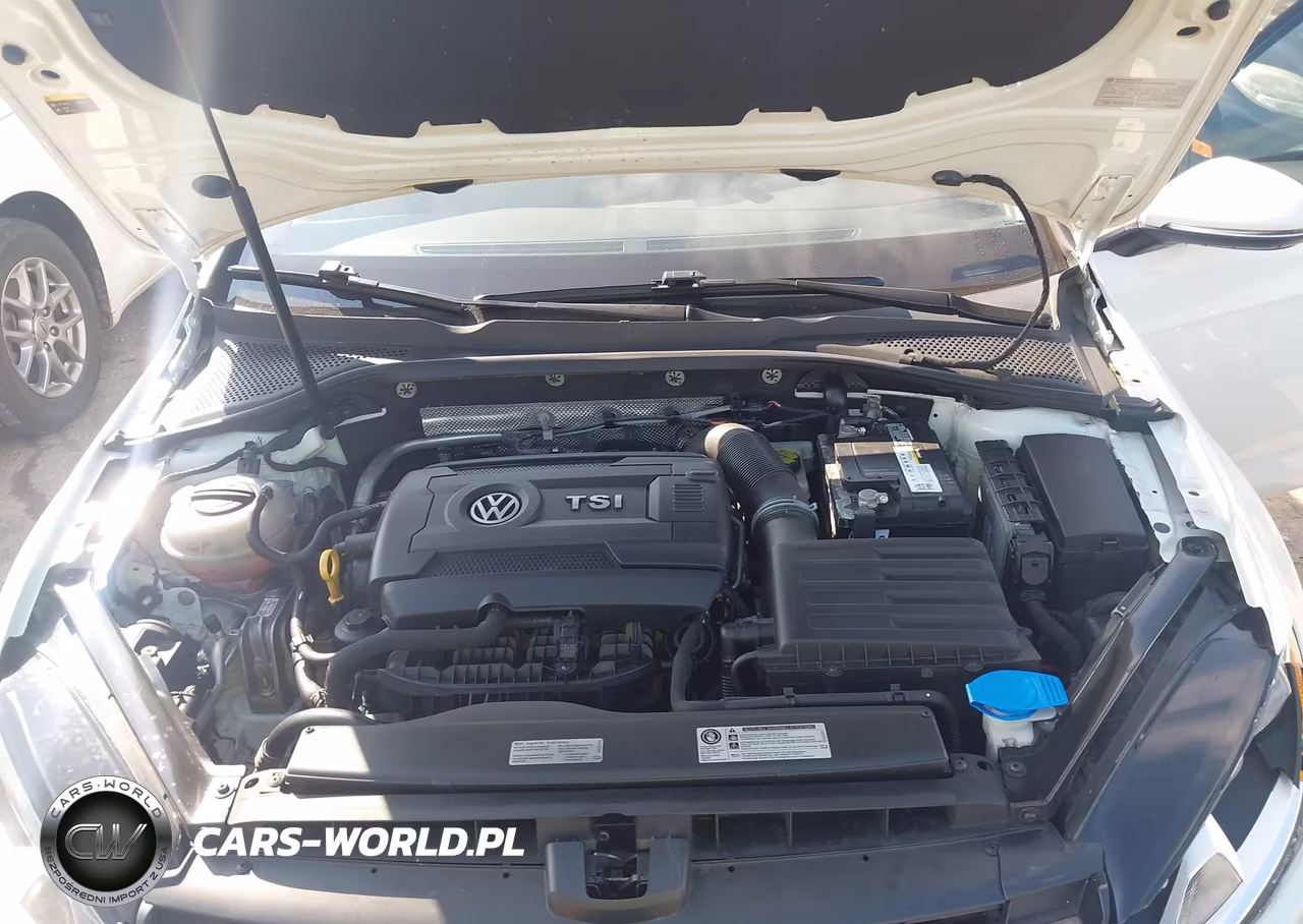 2017 Volkswagen Golf Sportwagen Tsi S VIN:3VWA17AU7HM503221 - 10