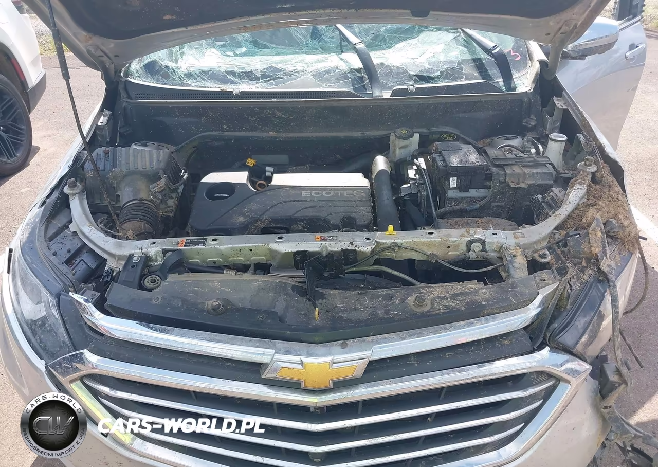 2019 Chevrolet Equinox Premier VIN:2GNAXNEV6K6288089 - 10