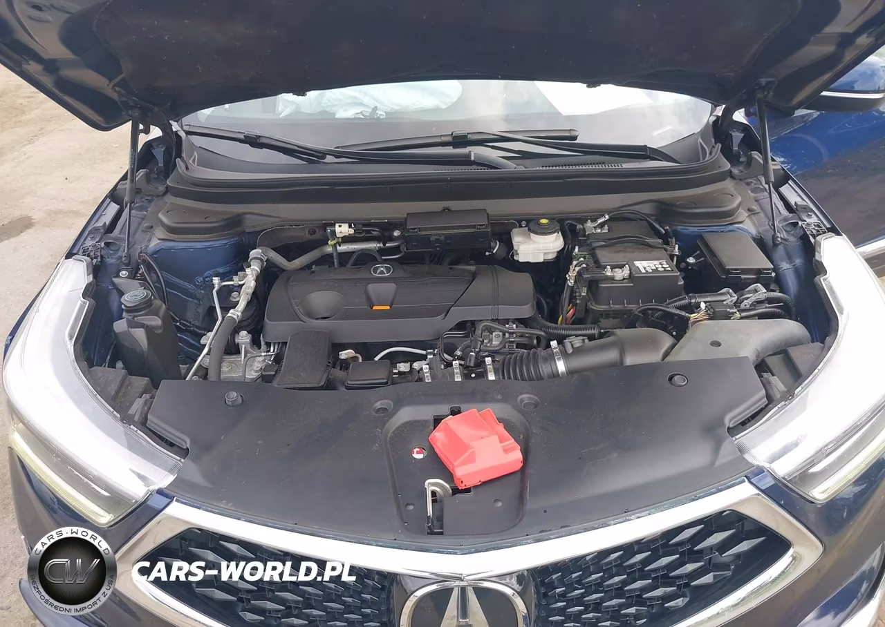 2019 Acura Rdx Advance Package VIN:5J8TC2H74KL015296 - 10