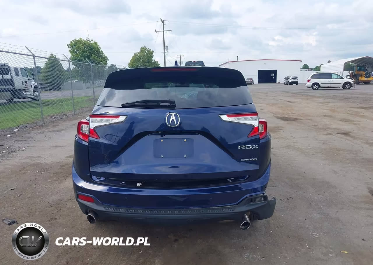 2019 Acura Rdx Advance Package VIN:5J8TC2H74KL015296 - 17